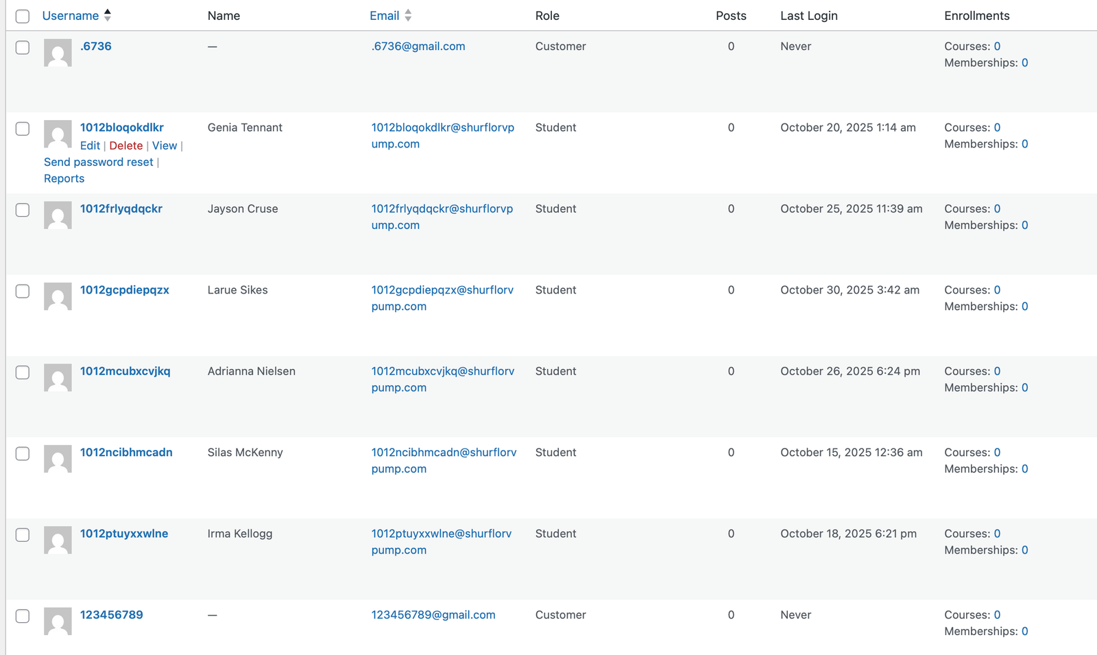 Rendered deliverable page showing security issue evidence