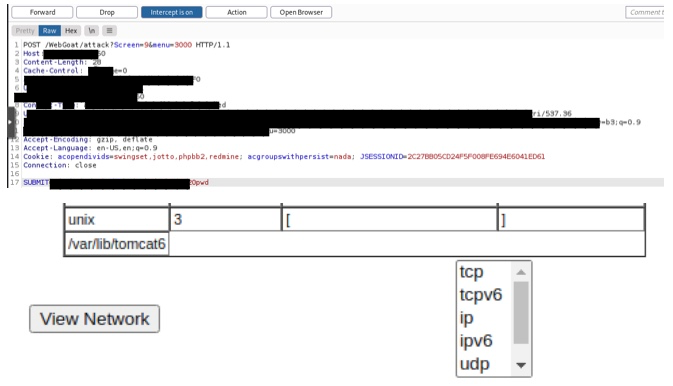 Controlled WebGoat input validation test evidence